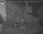 Capi_Dubne_20250626_001002.jpg