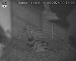 Capi_Dubne_20250626_001503.jpg