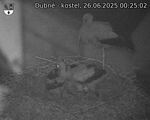 Capi_Dubne_20250626_002502.jpg