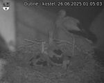 Capi_Dubne_20250626_010503.jpg
