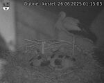 Capi_Dubne_20250626_011503.jpg