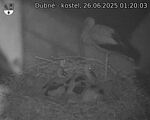 Capi_Dubne_20250626_012003.jpg