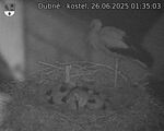 Capi_Dubne_20250626_013503.jpg