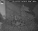 Capi_Dubne_20250626_014002.jpg