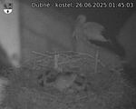 Capi_Dubne_20250626_014503.jpg