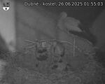 Capi_Dubne_20250626_015503.jpg