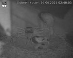 Capi_Dubne_20250626_024003.jpg