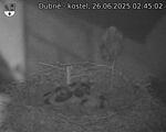 Capi_Dubne_20250626_024502.jpg