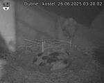 Capi_Dubne_20250626_032002.jpg