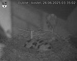 Capi_Dubne_20250626_033502.jpg