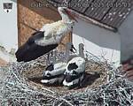 Capi_Dubne_20250626_131503.jpg