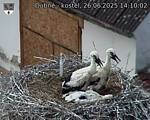 Capi_Dubne_20250626_141002.jpg