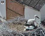 Capi_Dubne_20250626_152002.jpg