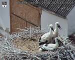 Capi_Dubne_20250626_153503.jpg
