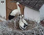 Capi_Dubne_20250626_161503.jpg