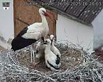 Capi_Dubne_20250626_162003.jpg