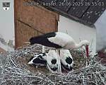 Capi_Dubne_20250626_165503.jpg