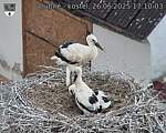 Capi_Dubne_20250626_171003.jpg