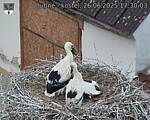 Capi_Dubne_20250626_173003.jpg