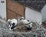 Capi_Dubne_20250626_180002.jpg
