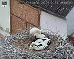 Capi_Dubne_20250626_190003.jpg