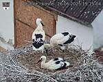 Capi_Dubne_20250626_192504.jpg