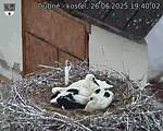 Capi_Dubne_20250626_194002.jpg