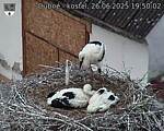 Capi_Dubne_20250626_195002.jpg