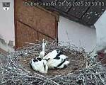 Capi_Dubne_20250626_205003.jpg