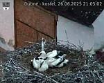 Capi_Dubne_20250626_210502.jpg
