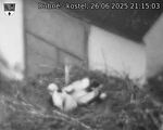 Capi_Dubne_20250626_211503.jpg