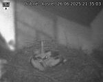 Capi_Dubne_20250626_213503.jpg