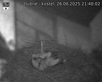Capi_Dubne_20250626_214002.jpg
