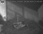 Capi_Dubne_20250626_214503.jpg