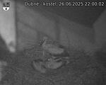 Capi_Dubne_20250626_220002.jpg