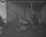 Capi_Dubne_20250626_220502.jpg