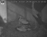 Capi_Dubne_20250626_221002.jpg