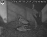 Capi_Dubne_20250626_222503.jpg