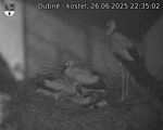 Capi_Dubne_20250626_223502.jpg