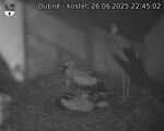 Capi_Dubne_20250626_224502.jpg
