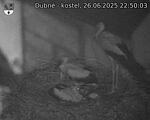 Capi_Dubne_20250626_225003.jpg
