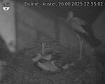 Capi_Dubne_20250626_225502.jpg
