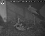 Capi_Dubne_20250626_230003.jpg