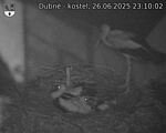 Capi_Dubne_20250626_231002.jpg