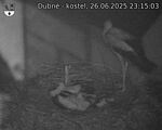 Capi_Dubne_20250626_231503.jpg