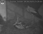 Capi_Dubne_20250626_232003.jpg