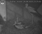 Capi_Dubne_20250626_232502.jpg
