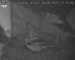 Capi_Dubne_20250626_233502.jpg