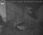 Capi_Dubne_20250626_234502.jpg