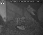 Capi_Dubne_20250626_235002.jpg